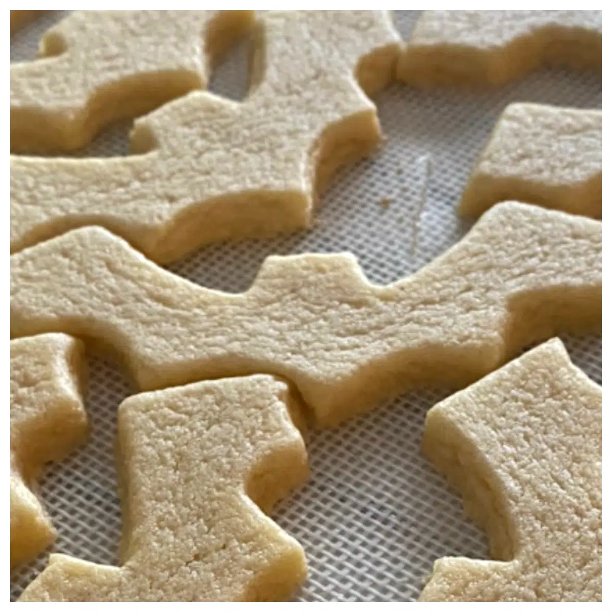 halloween cookie cutters set bat shape silicone baking molds for fondant cake decorating supplies