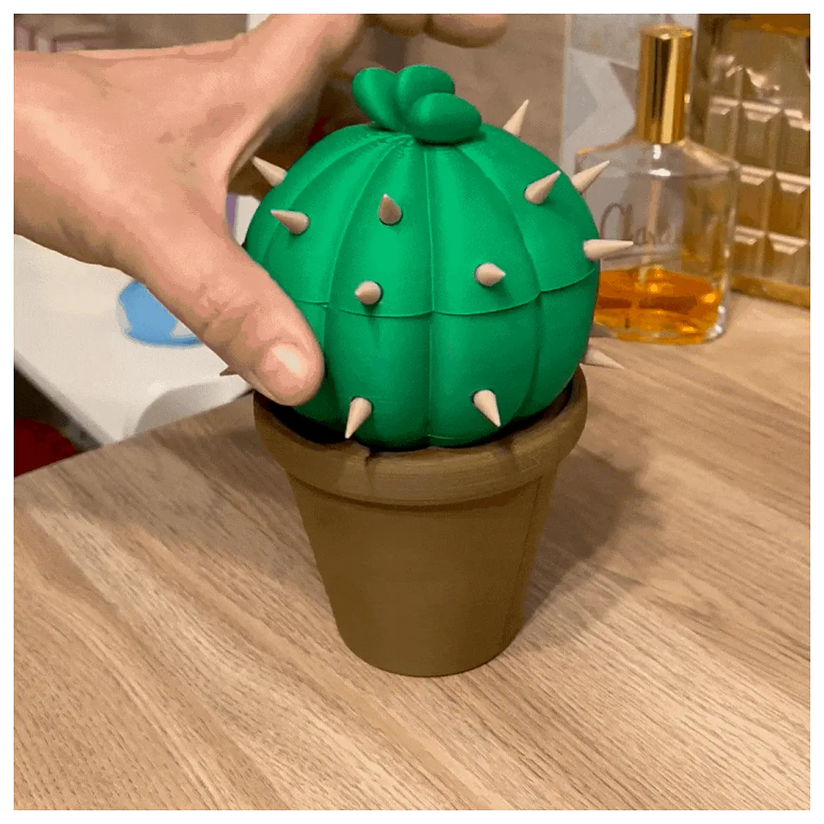 Cactus Shelf Unit Creative Multi Functional Plant Display Rack Wall Mounted Indoor Garden Storage Hanging Decor
