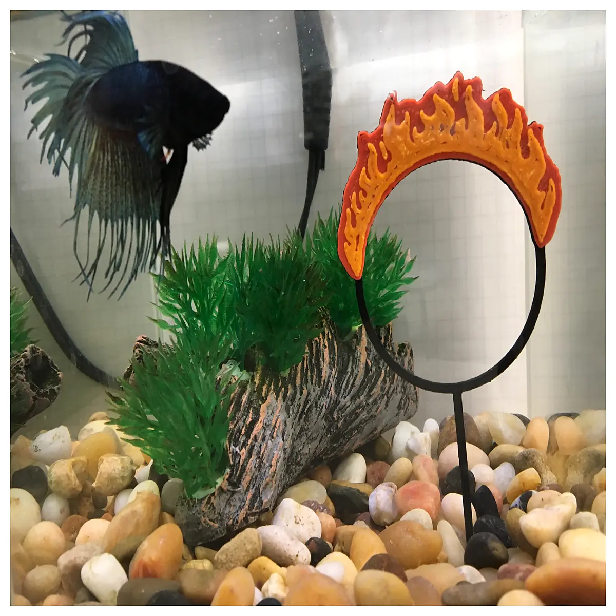 Aquarium Ornament Ring Fish Tank Rotating Toy Aquarium Ring Accessories Creative Fish Tank Landscape Ring