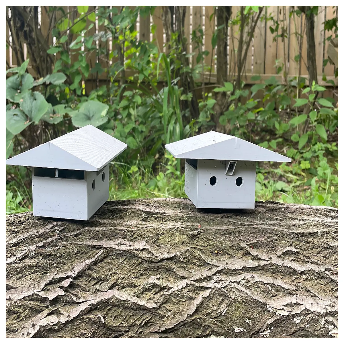 Garden Capsule Dispenser Shed Control Backyard Accessory Outdoor Defense