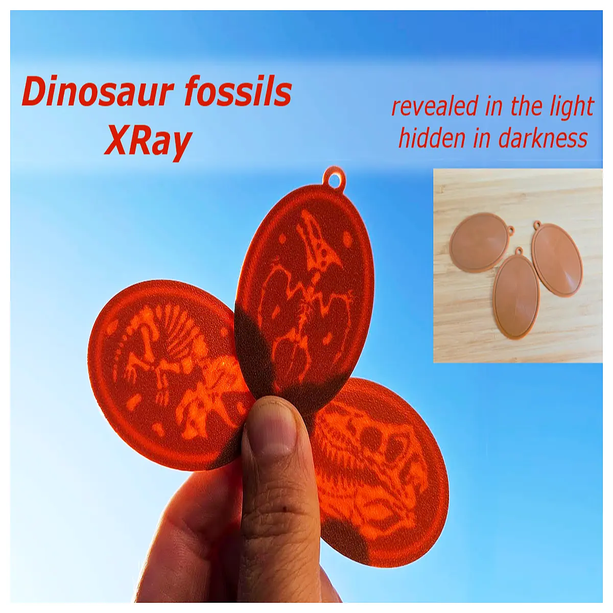 Dinosaur X ray Transparency Dinosaur Scan Dinosaur Imaging Dinosaur X ray Analysis