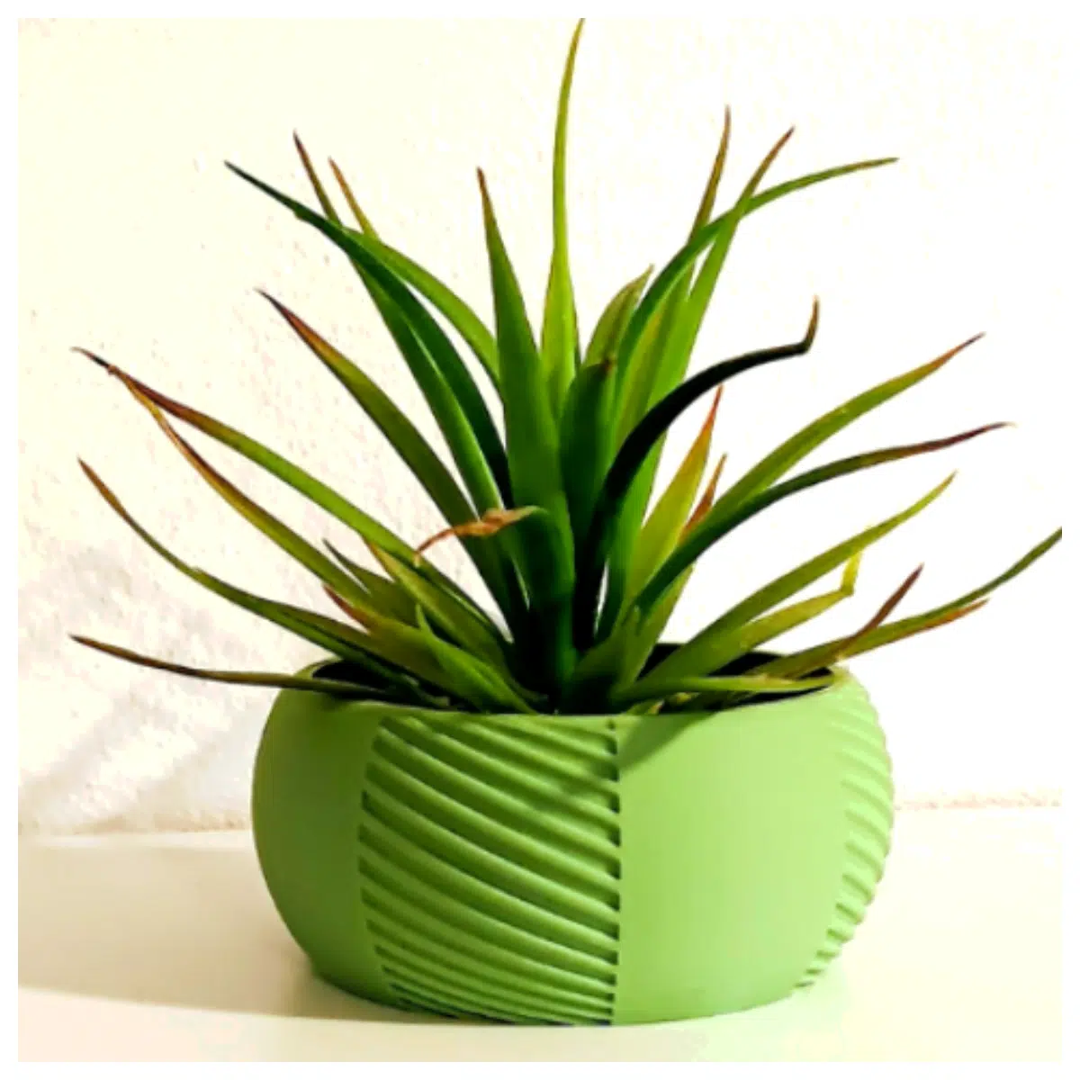 ceramic plant pots with drainage holes indoor outdoor garden flower containers modern minimalist plastic nursery pots for succulents cactus