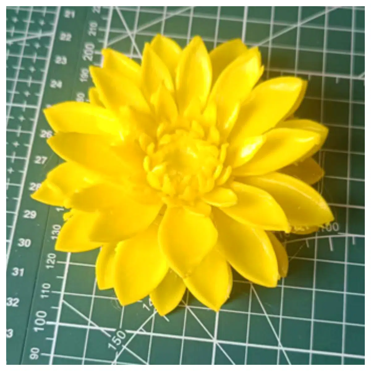 Chrysanthemum Tea Bags Brewing Tea Bags Chrysanthemum Flower Tea Beverage Chrysanthemum Tea Gift Box Traditional Herbal Tea Chrysanthemum Tea