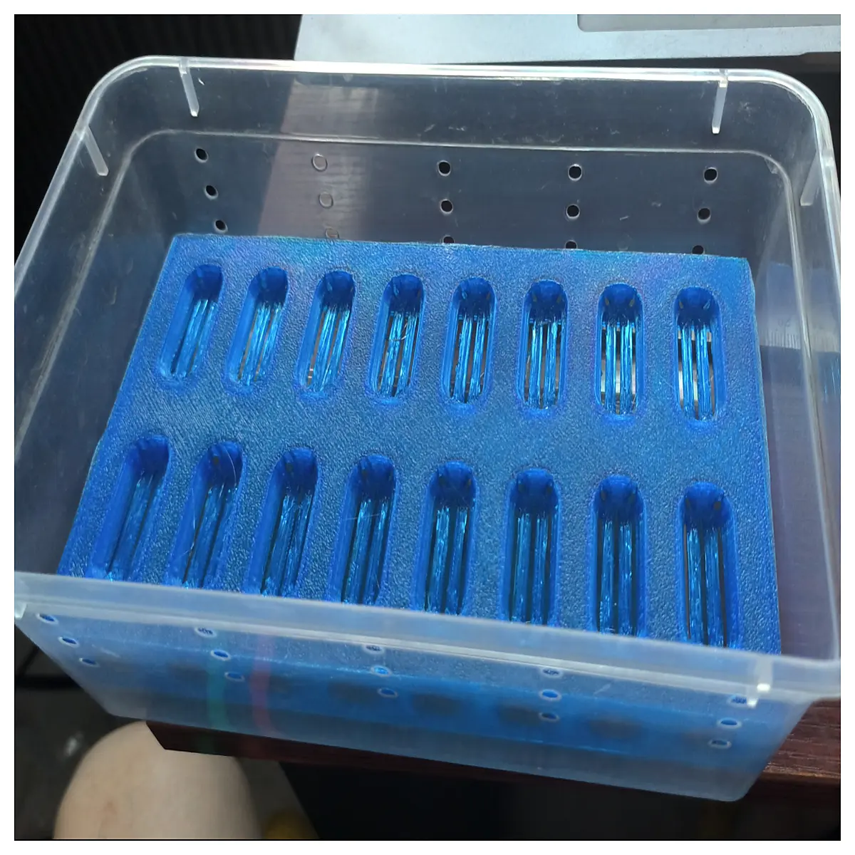 reptile egg incubation trays for gecko leopard chameleon hatching supplies