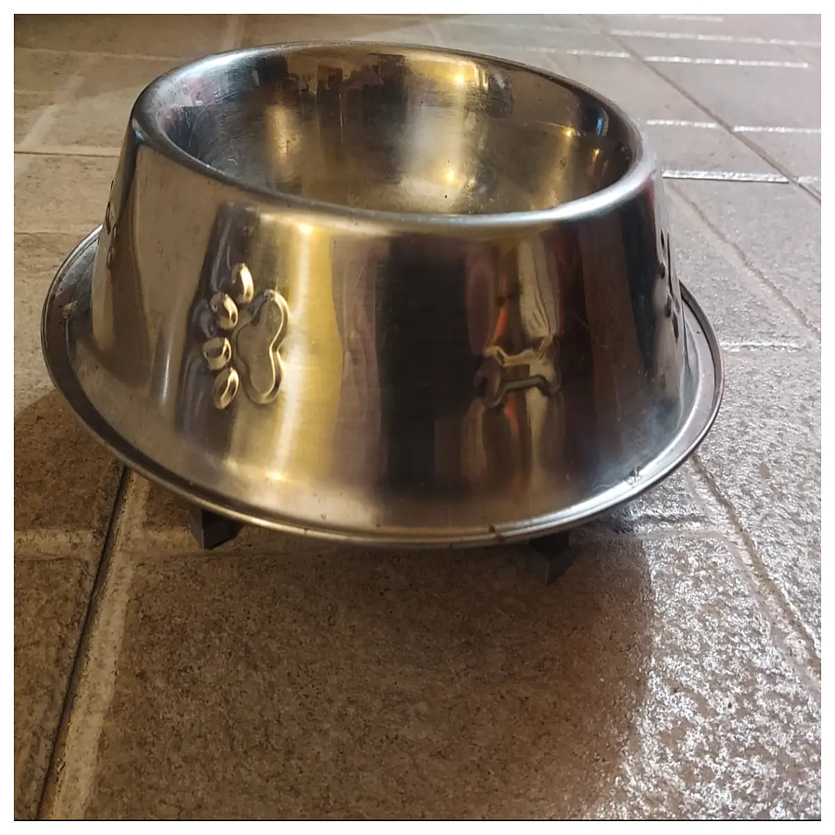 Bowl Lift Pet Ramp Automatic Feeder Pet Food Bowl Auto Feeder Training Toy Health Booster