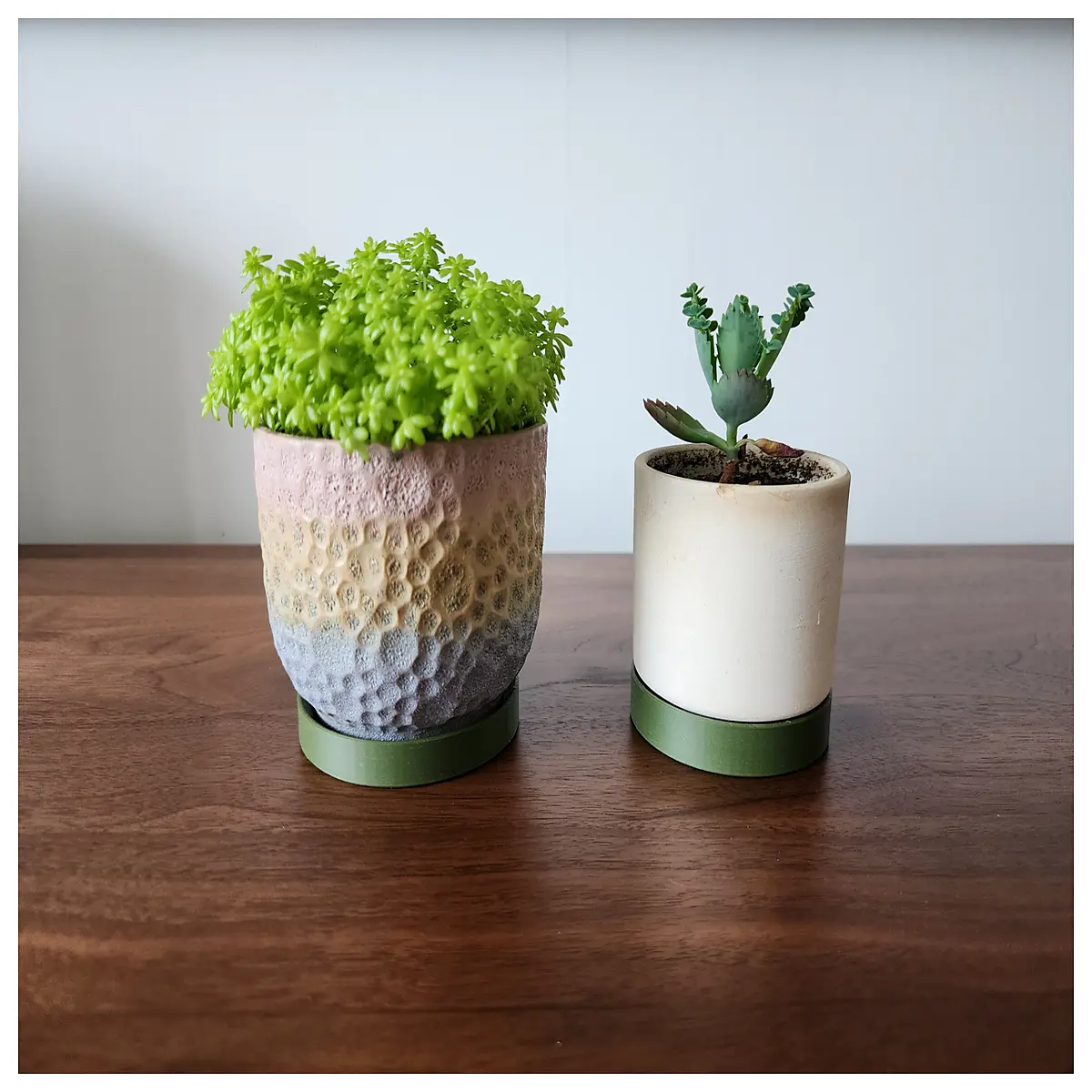 self watering saucer for indoor plants plastic flower pot drip tray with feet large plant pot base catch basin
