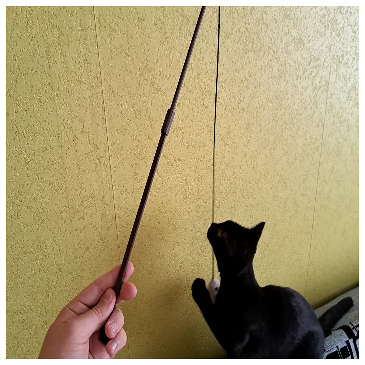 interactive cat wand toy with feather and bell for active kittens exercise