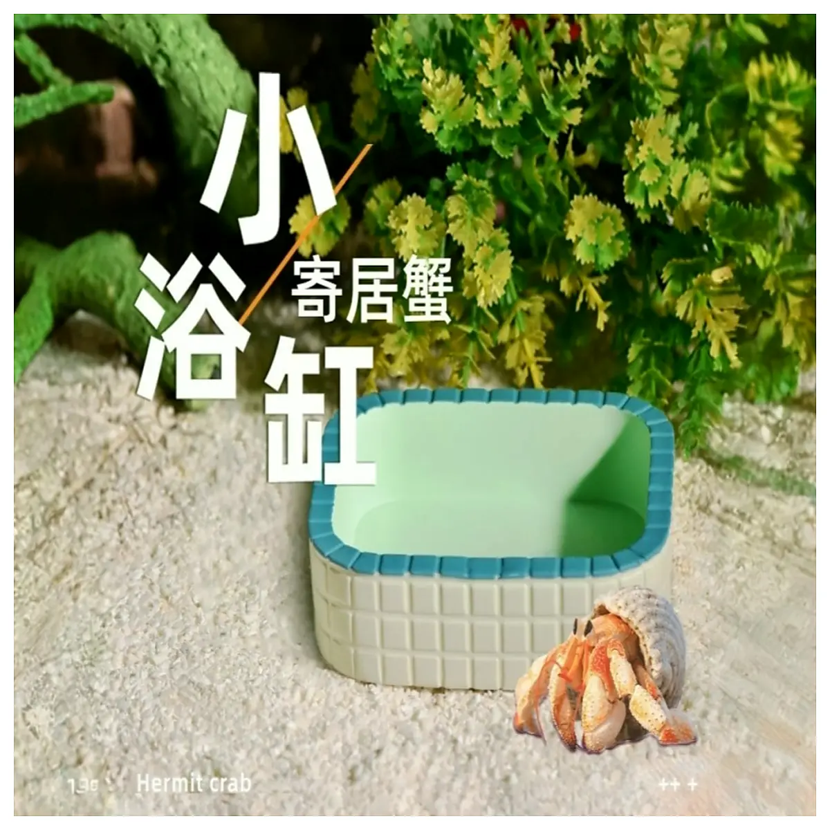 Hermit Crab Bath Bucket Decoration Mini Landscape Ornament Crab Tank Accessories Hermit Crab Decor Pet Miniature