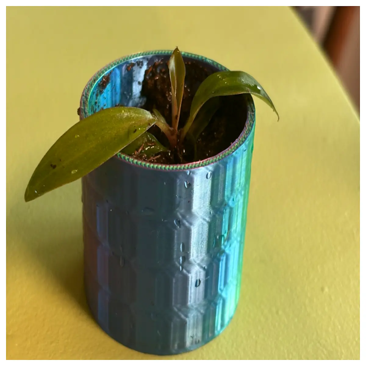Mini Crystal Planter Desktop Decoration Small Ornament Water Plant Container Indoor Garden Creative Gift Crystal Planter