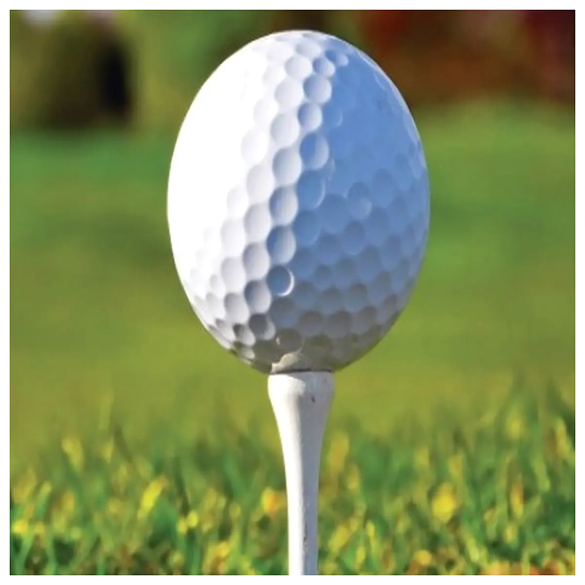 Seat 34 Inch Putting Mat Practice Cushion Training Aid Driving Range Simulator