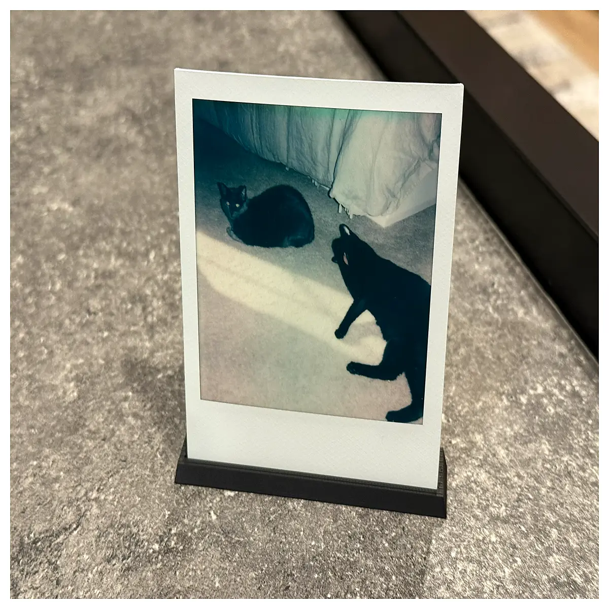 Minimalist Photo Holder Compact Display Stand Phone Stand Creative Home Decor Photo Support Accessories