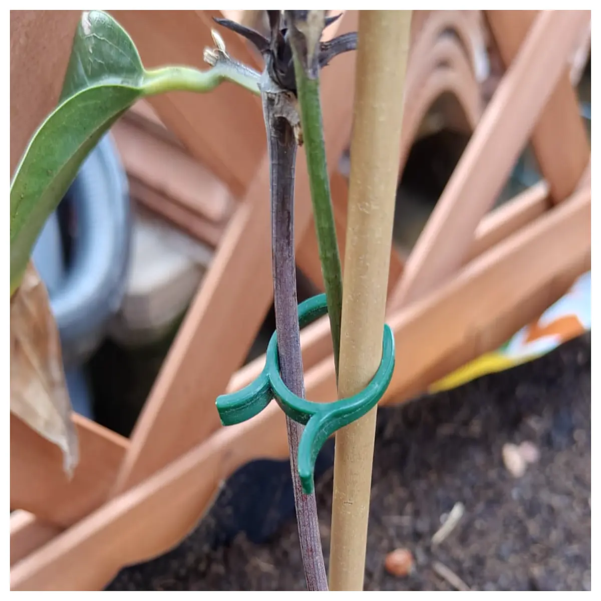 garden plant support clips for tomato vines quick snap fasteners for flower stems reusable vegetable trellis holders