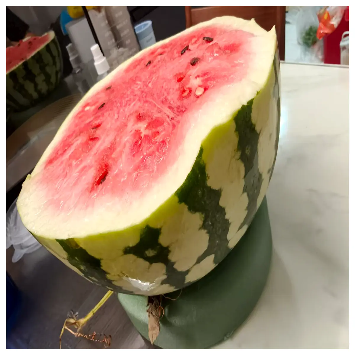 watermelon chair ergonomic throne for gaming office relaxation big and tall seating