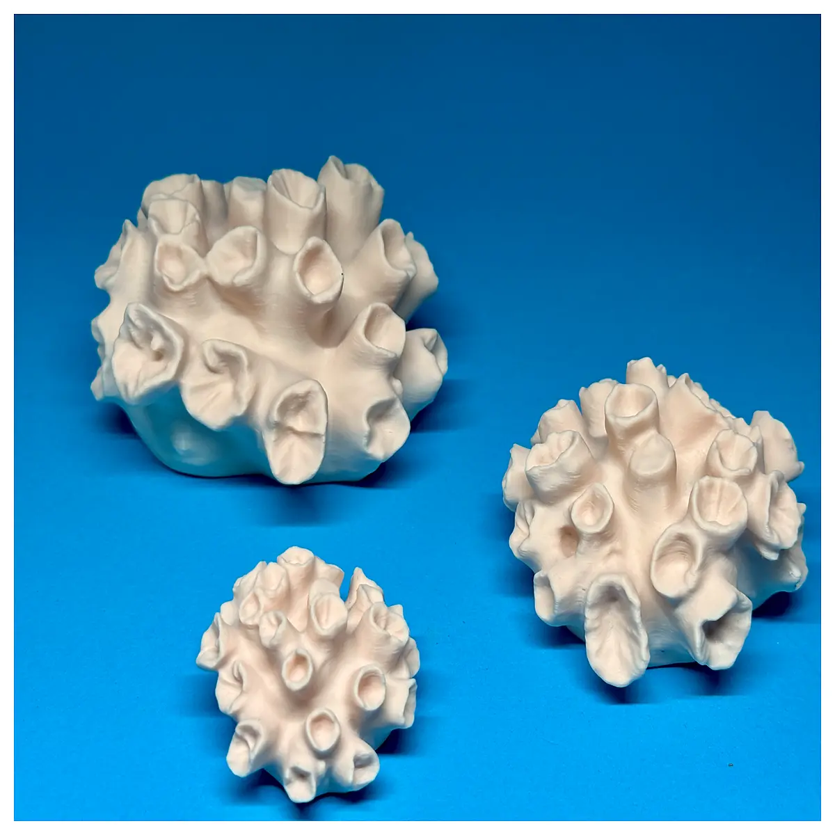 Coral Decorations 10 s Available Reef Wall Decor Sculpted Coral Desktop Coral Art Coral Ocean Coral Decor Coral Carving Natural Coral Coral Crafts Cor