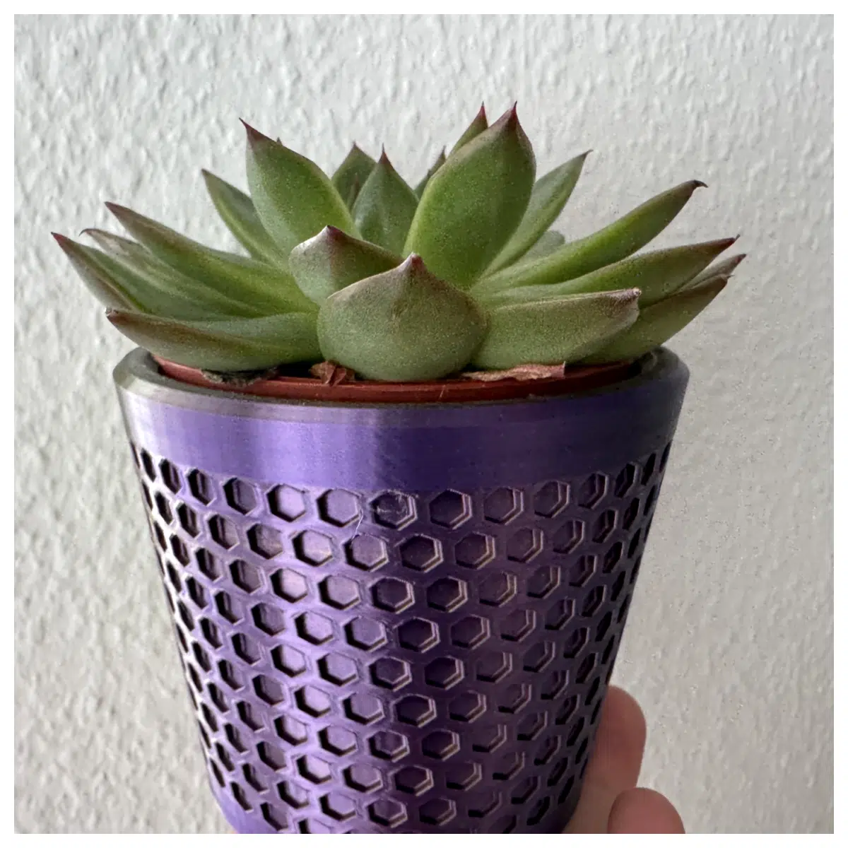 honeycomb geometric planter pot for succulents cactus modern indoor outdoor garden decor