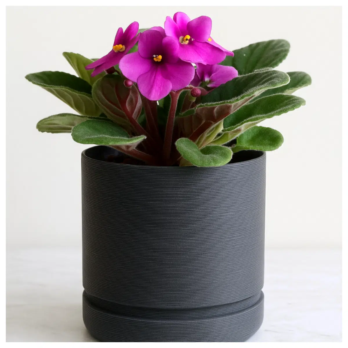 small ceramic plant pots for succulents cactus indoor desktop mini flower containers with drainage hole