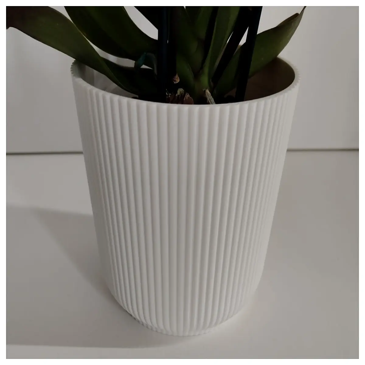 Vertical Ribbed Small Vase Decorative Home Flower Arrangement Creative Floral Display Modern Vase Ornament