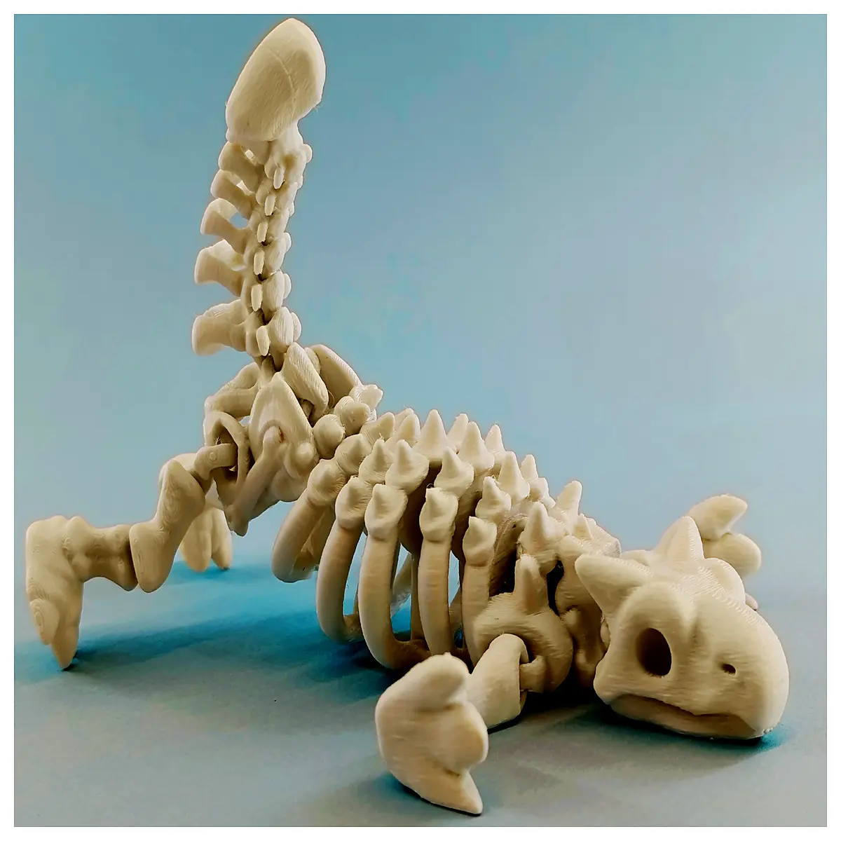 Dinosaur Skeleton Armoratus Movable Joint Model Dinosaur Skeleton Educational Toys Dinosaur Models Dinosaur Accessories