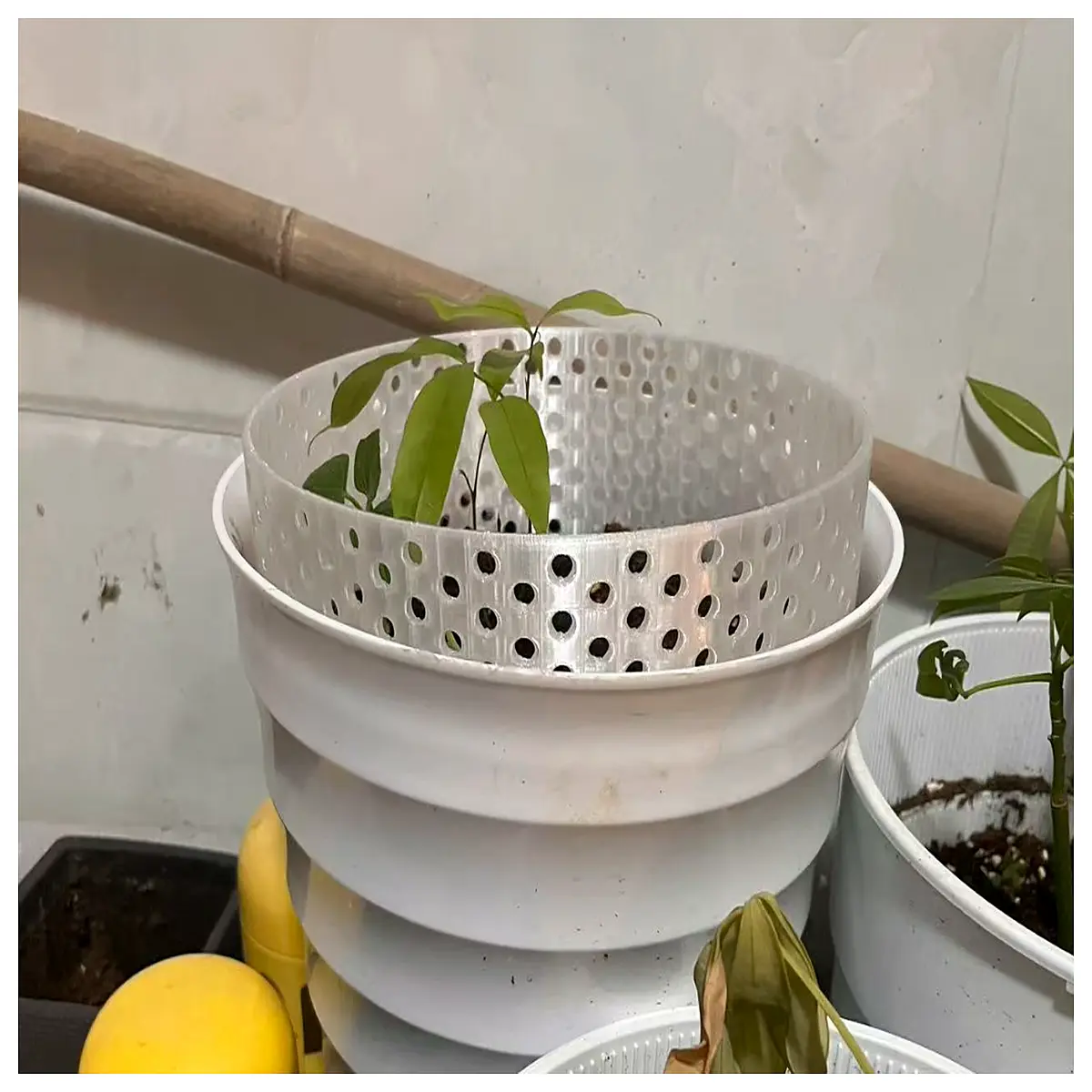 Plant Protection Period Cat Deterrent Hole Flower Pot Fence Cat Barrier Garden Protection Safe Plants