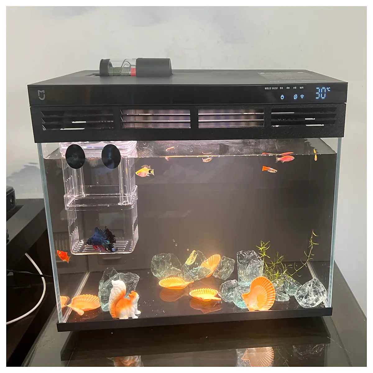 Fish Tank 1st Gen 38cm Height Extension Aquarium Decoration Fish Tank Accessories Expansion