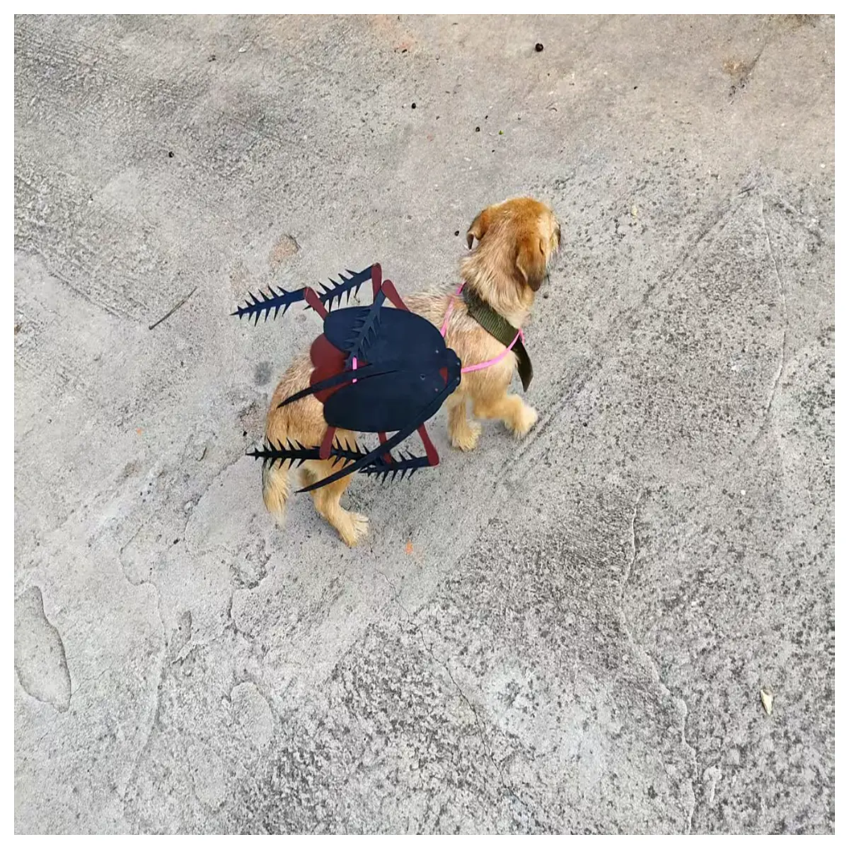 Dog Cockroach Cloak Pet Costume Cute Dress Dog Outfit Party Wear Festival Small Dogs