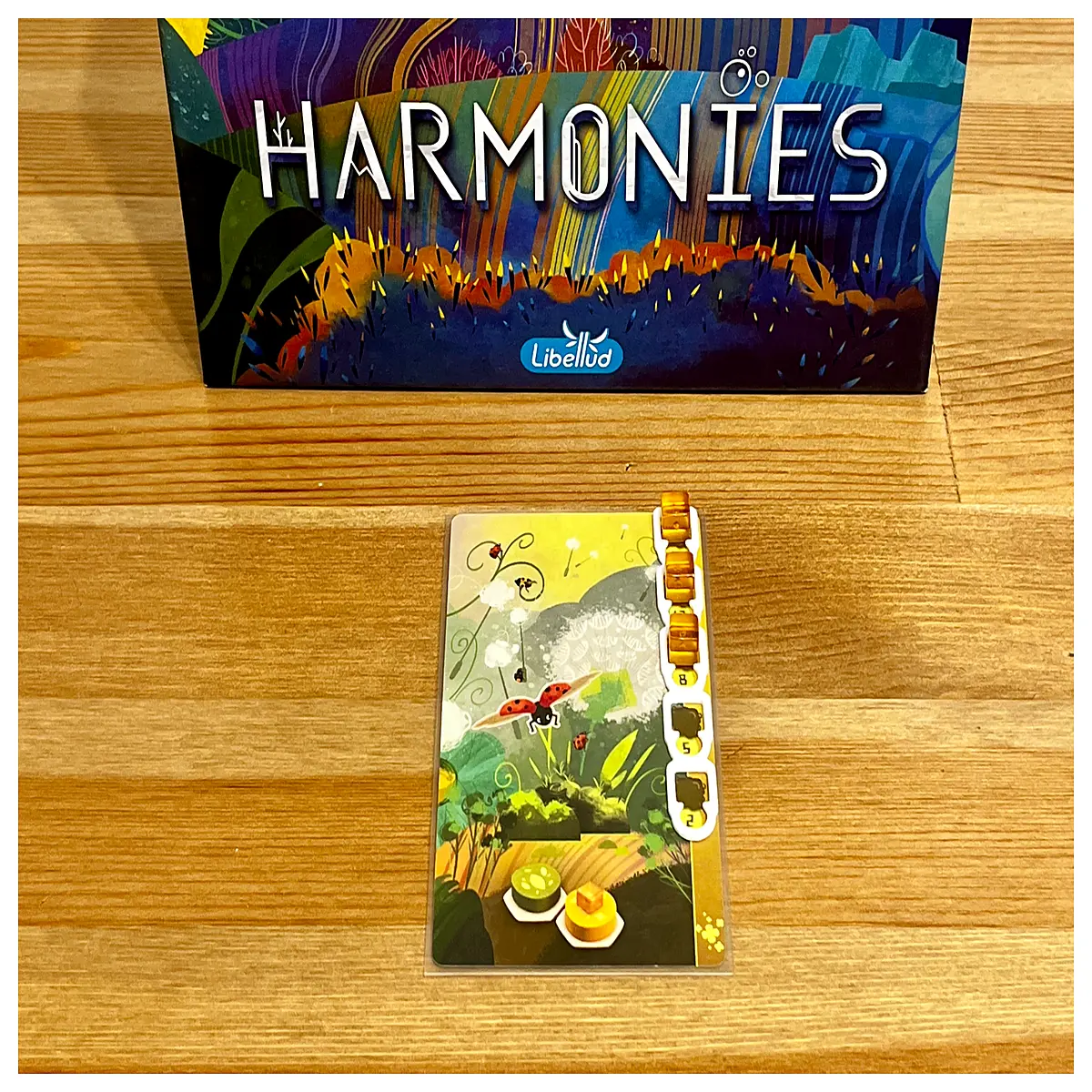 Harmonic Double Layer Block Frame Card Holder Animal Collection Scene Cards Puzzle Game Toy Accessories