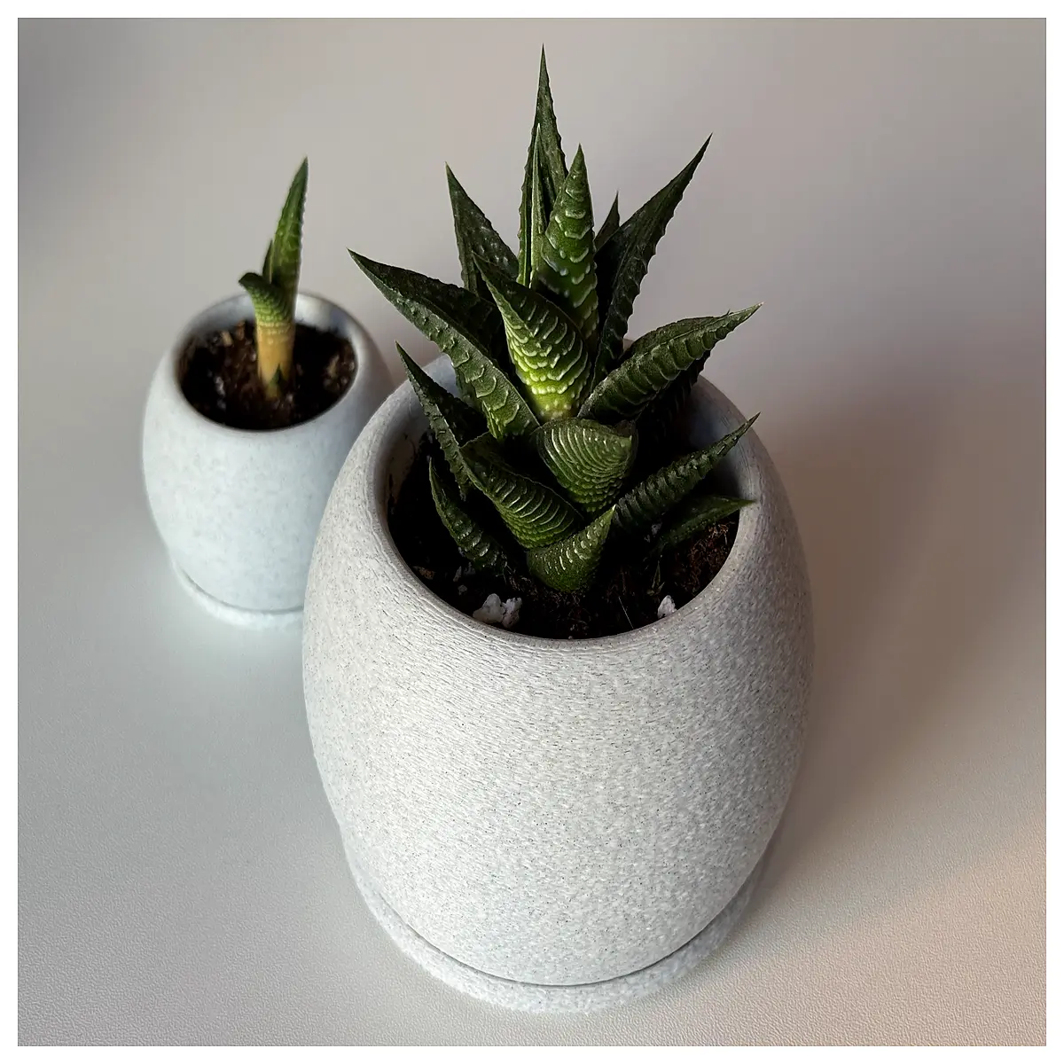 ceramic plant pots with drainage holes indoor outdoor succulent cactus flower containers decorative garden planters for home decor