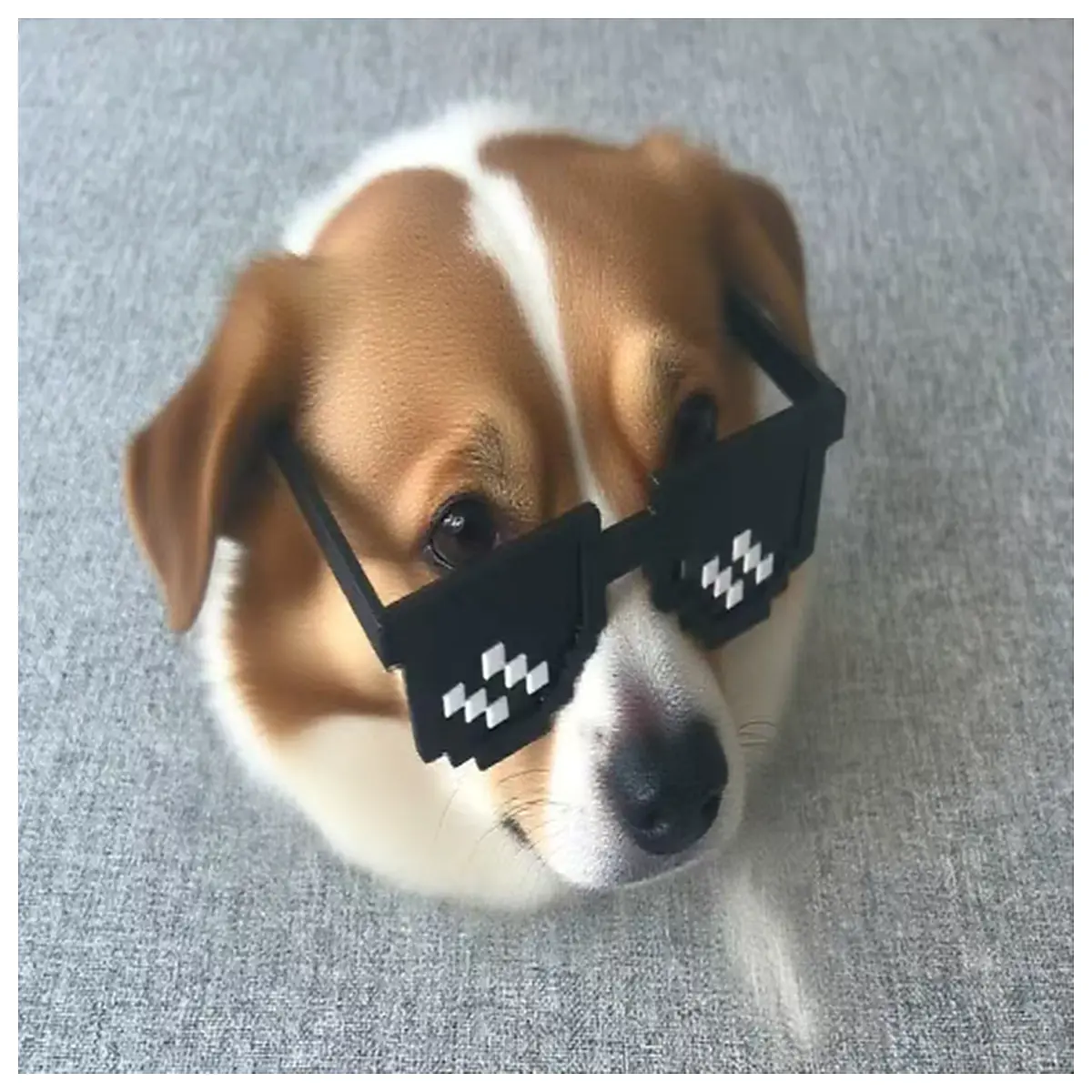 Pet Mosaic Mirror Sunglasses Creative Eyewear Dog Cat Accessories Pet Fashion Fun Decoration Animal Eye Cover
