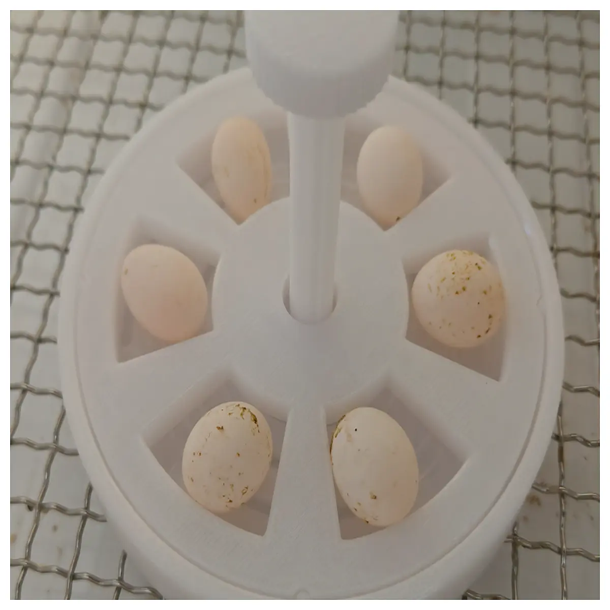 automatic egg incubator for chicken duck quail hatching machine parts