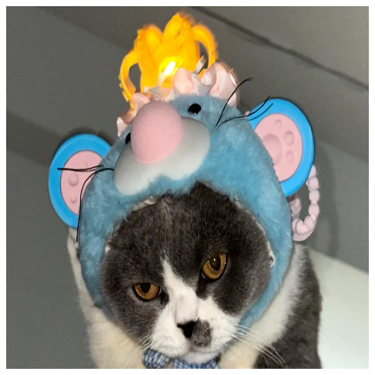 King Blue Ear Toy Replacement Parts Pet Accessories Repair Patch Decoration