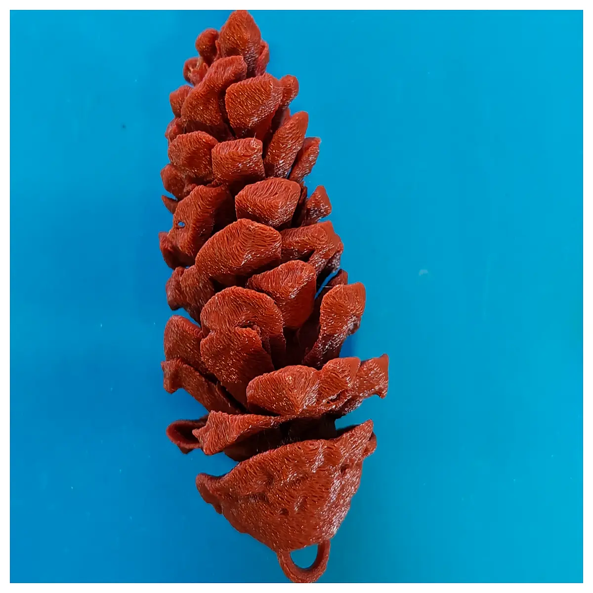 Pinecone Treasure Container Digging Toy Box Kids Gift Storage Box Toy Accessories Treasure Chest Exploration Box