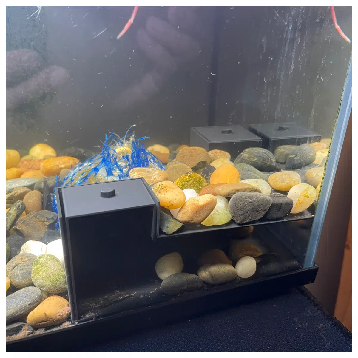 glass aquarium corner lid cover replacement custom fit safety top for fish tank