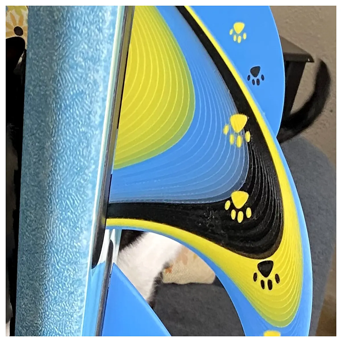 Cat Fin for Surfboards FCS System Compatible Surfboard Fins Surfboard Accessories Cat Fins Surfboard Decoration