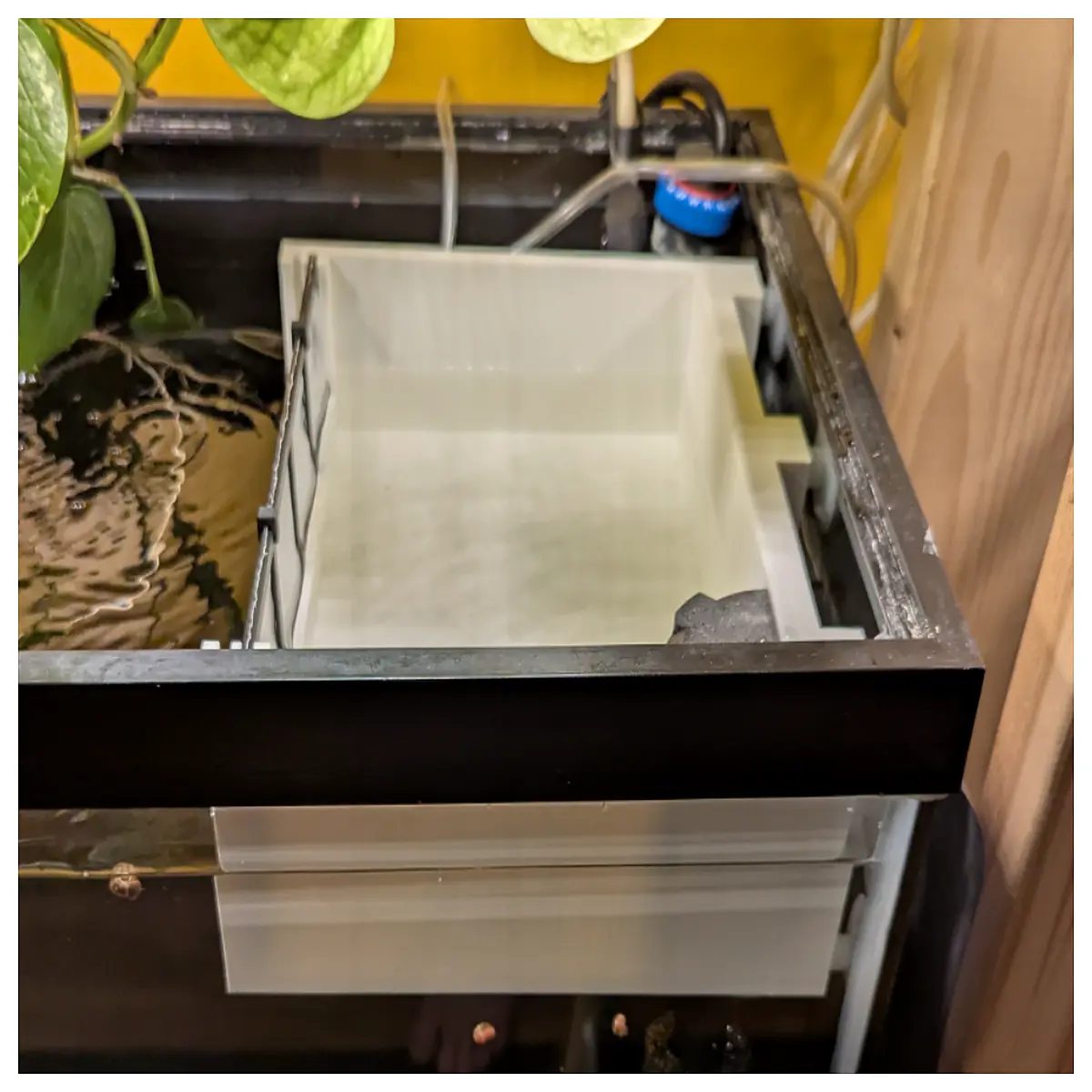 Fish Breeding Box Fish Fry Tank Incubator Fish Rearing Equipment Fish Fry Hatchery Fish Breeding Supplies Fish Fry Box