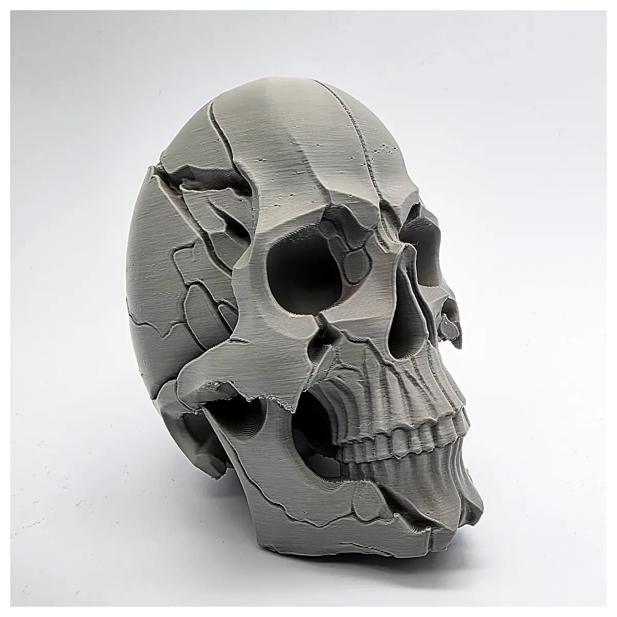 cracked human skull prop horror movie makeup special effects realistic broken bone anatomy