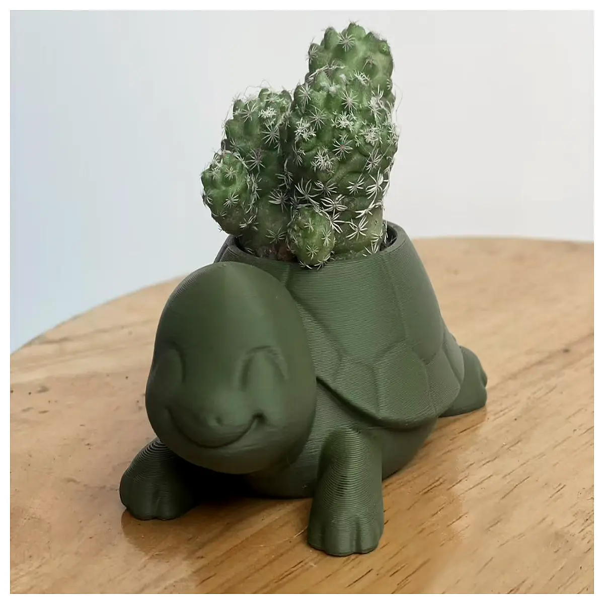 cute succulent planter ceramic pot with drainage for desk home office decor low maintenance indoor plant gift