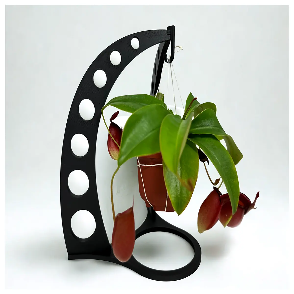 Desktop Plant Hanger Shelf Hanging Flower Rack Wall Mounted Plant Holder Indoor Decoration Green Plant Shelf Modern Minimalist Home Decor