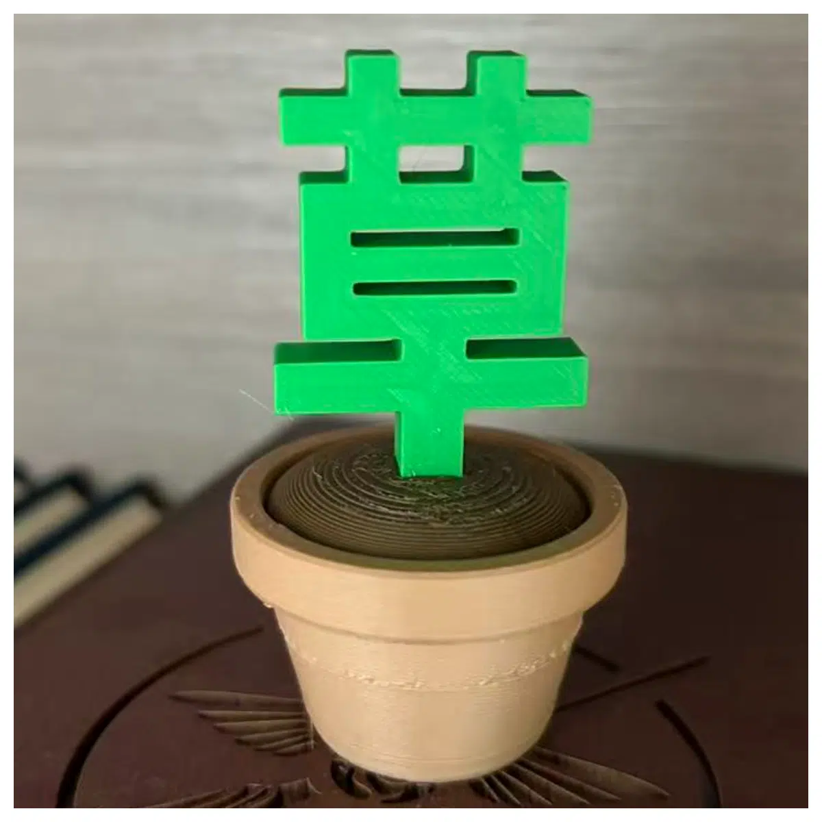 low maintenance indoor houseplants for beginners small potted greenery for desk and office air purifying plants like snake plant or pothos decorative
