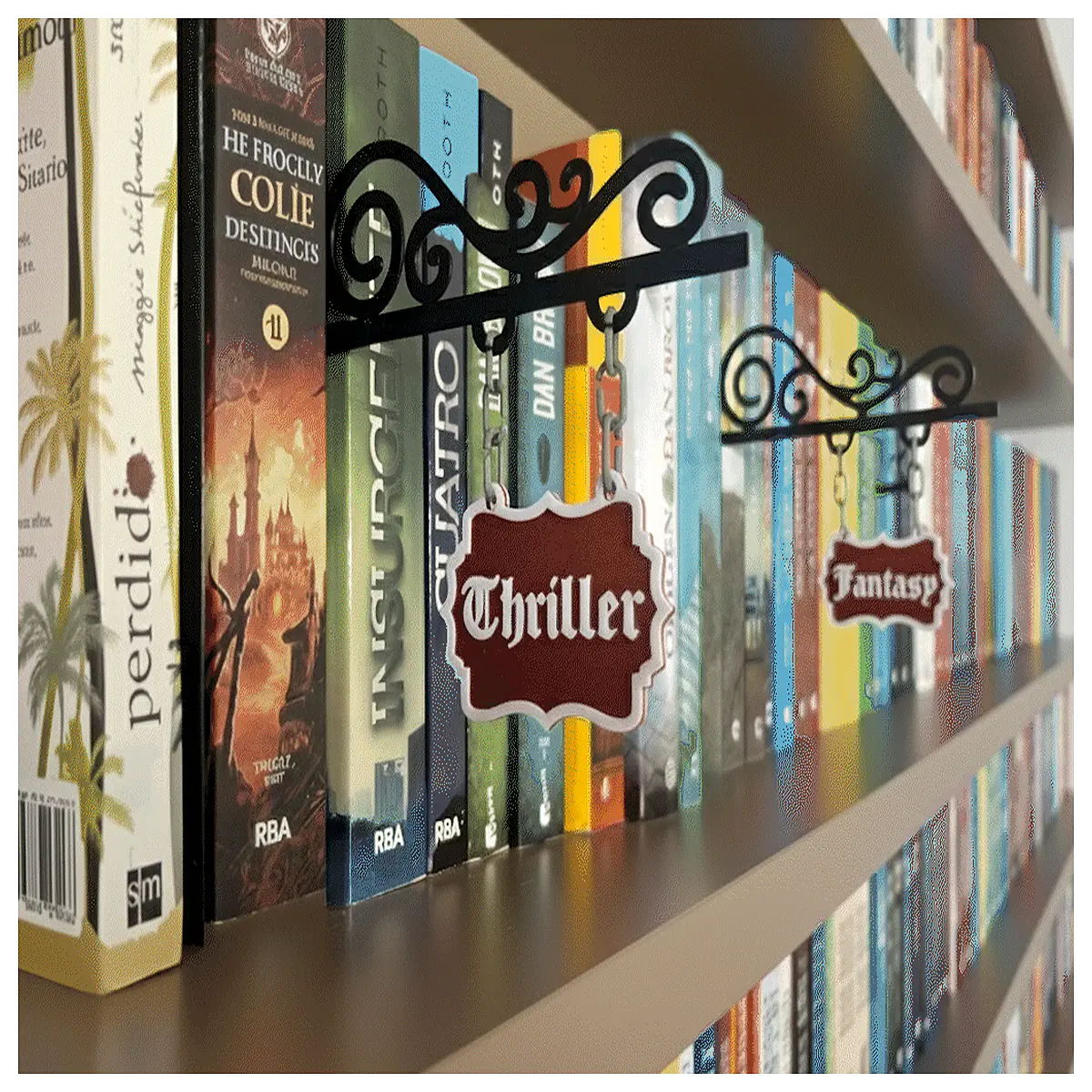 Book Organizer Tool Book Categorization Sorting Archiving Book Management Software Book Classification Tool Library Management