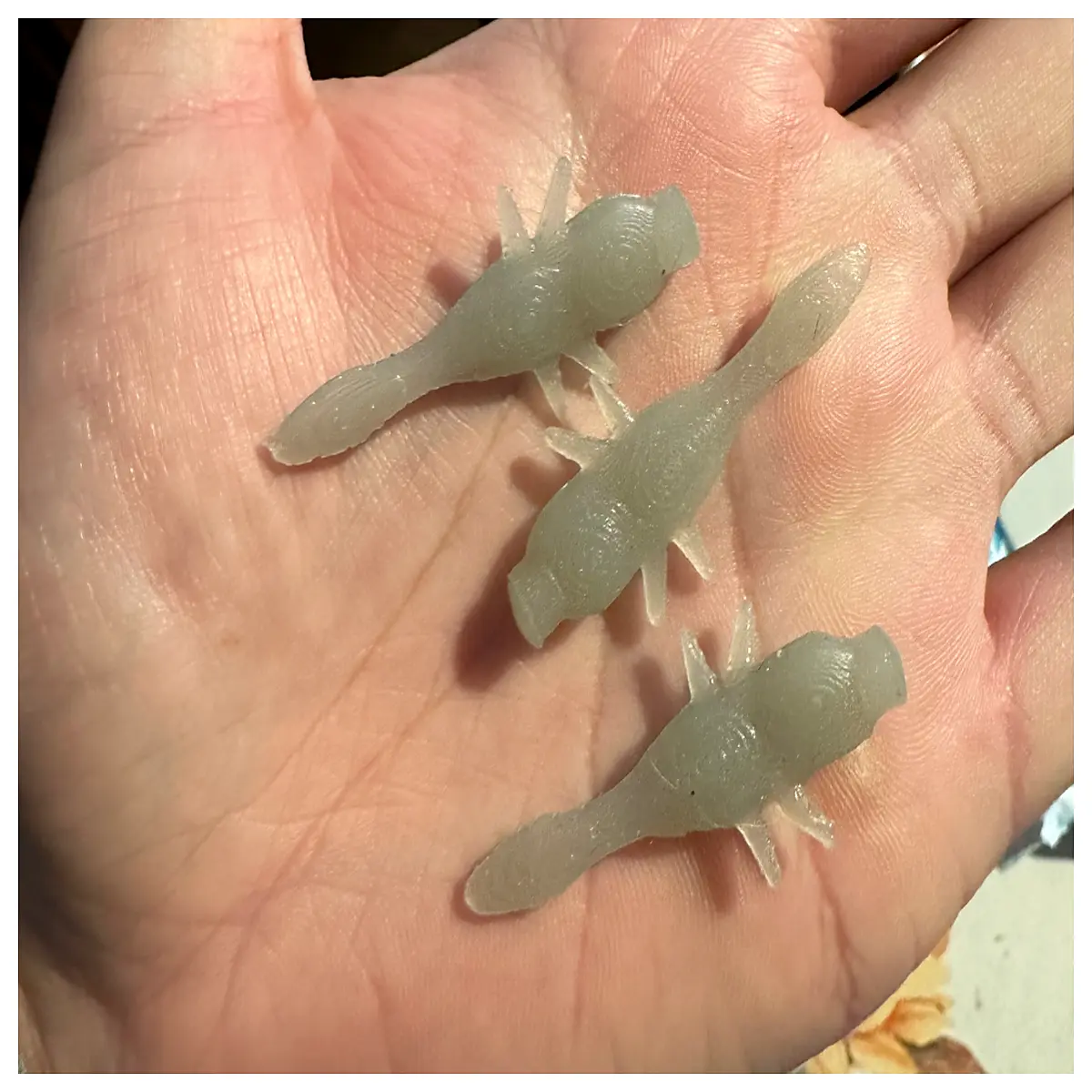 live minnows for ice fishing bait bloodworms perch crappie wax worms hook bait winter angling