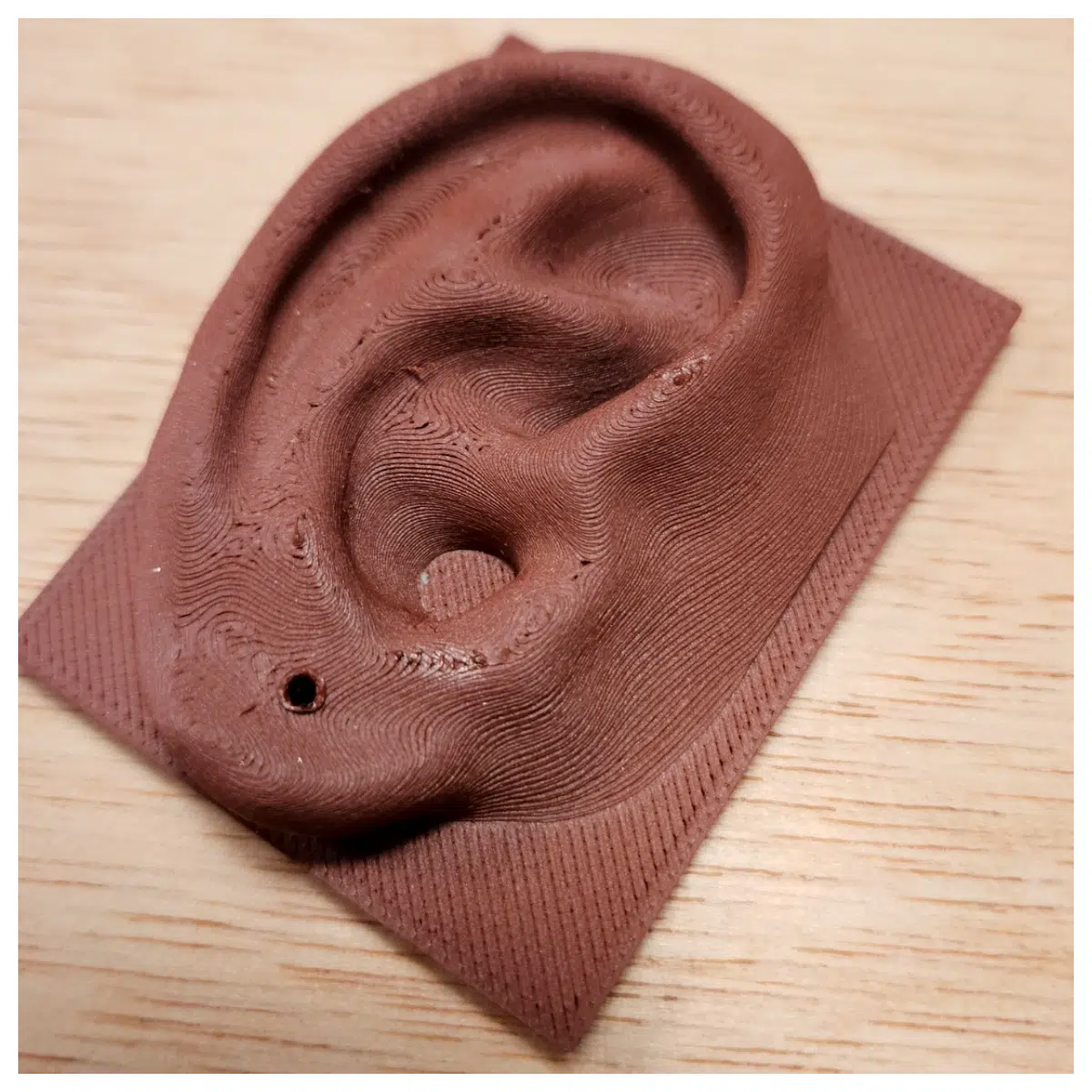 Earrings with Headphones Earring Accessories for Headphones Stylish Earbuds Alternative Music Lover s Choice