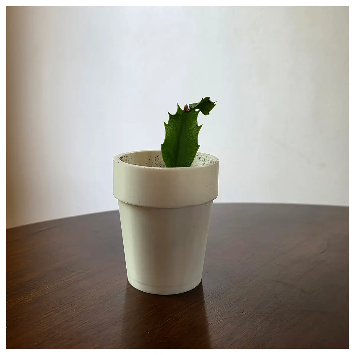 Flower Pot Indoor Planter Decorative Ceramic Container Succulent Plant Flower Pot Accessories Garden Planting Supplies
