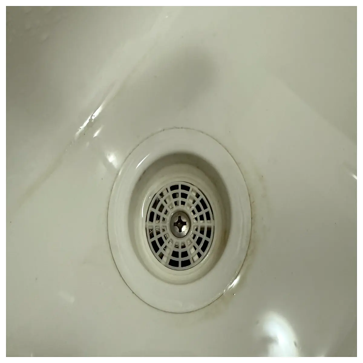 kitchen sink drain guard hair catcher strainer stopper mesh filter insert clogs