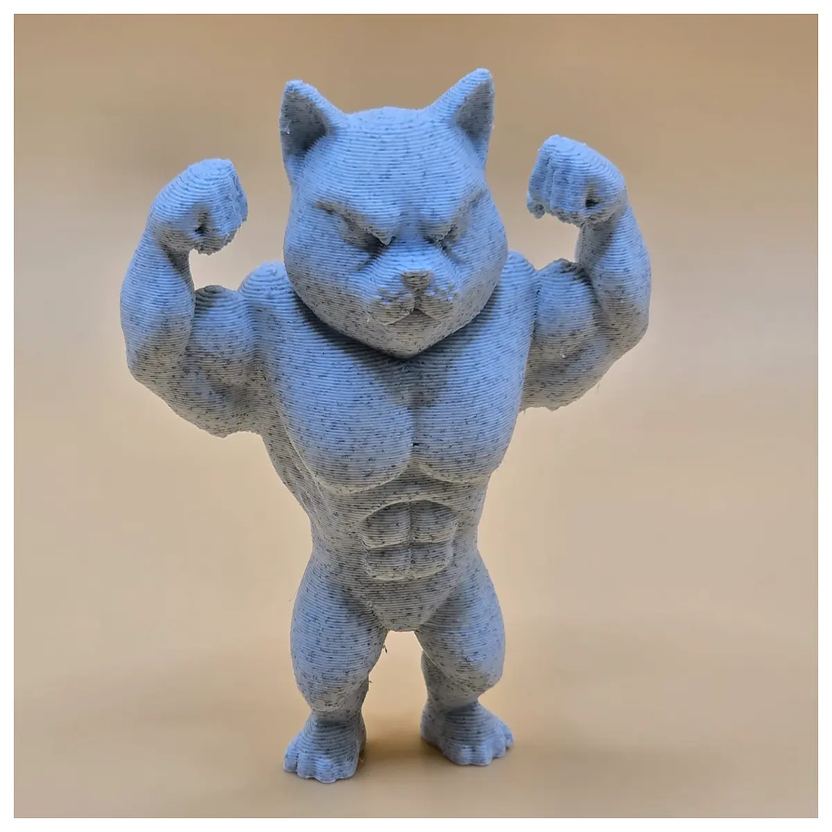 Muscle Cat Food High Protein Cat Food Build Muscle Cat Nutrition Kitten Food Adult Cat Food Delicious Cat Food Supply