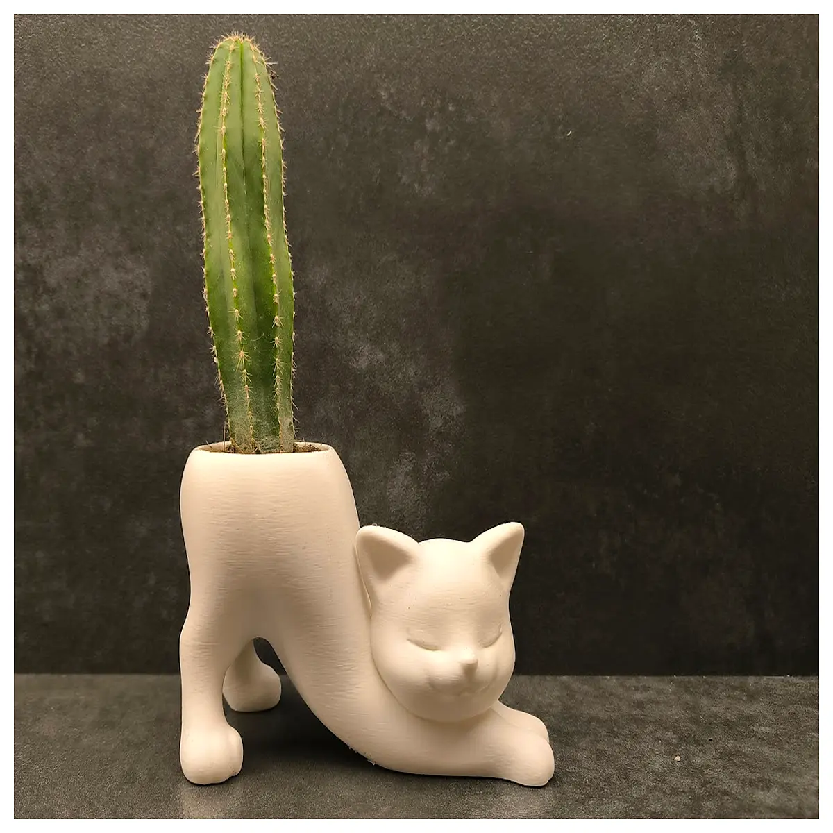 cute cat shaped flower pot for succulents modern ceramic planter with drainage hole indoor desk decor gift