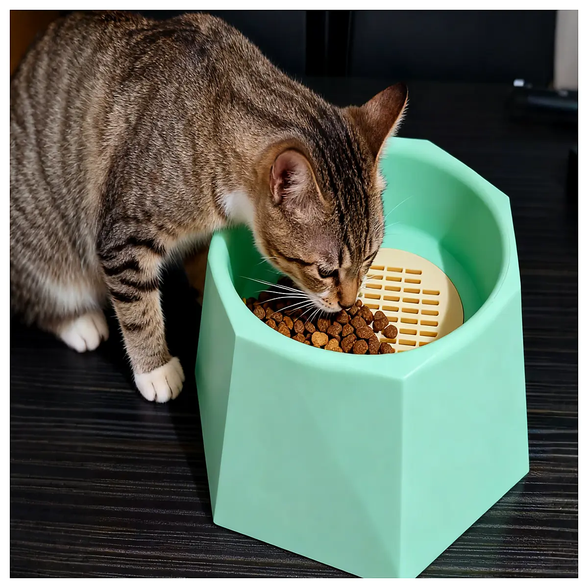 Proof Cat Food Bowl Sealed Keeps Food Fresh Pet Food Dish Wet Food Bowl Anti Bacterial Long Term Storage Automatic Water Dispenser