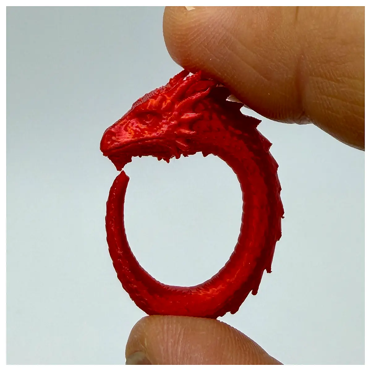 Dragon Ring Dragon Ring Jewelry Dragon Clan Ring Dragon Element Dragon Pattern Bracelet Dragon Accessory Dragon Jewelry Collection Dragon Gif