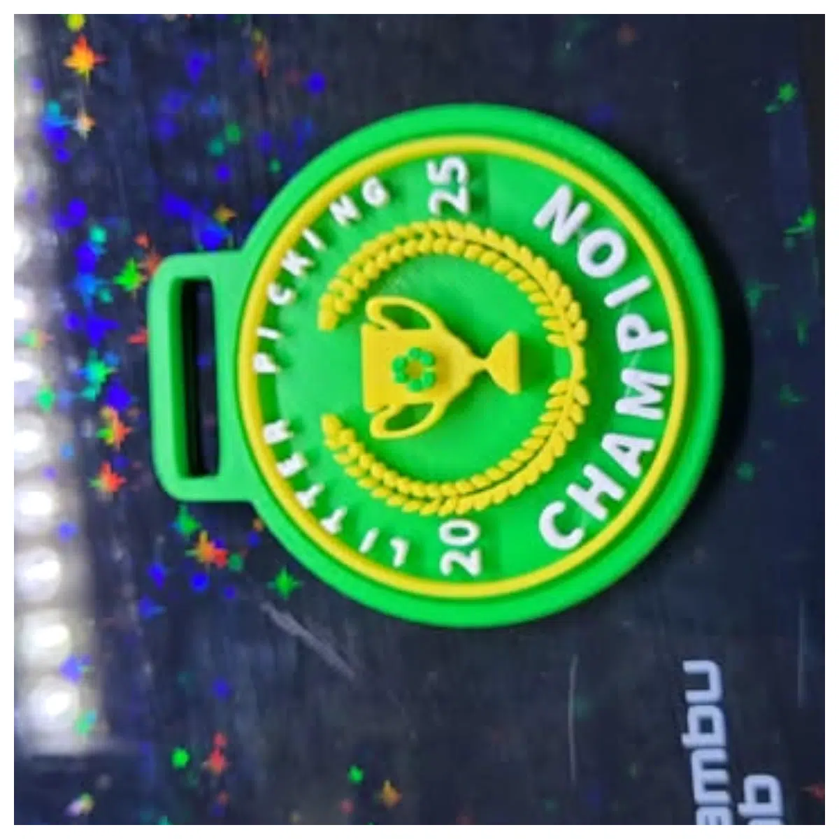 2025 Waste Collection Award Prize Rewards Garbage Sorting Workers Boosts Environmental Awareness