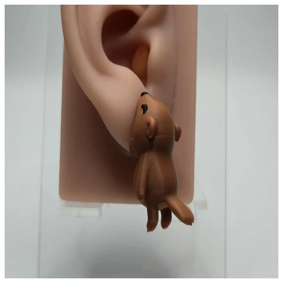 Beaver Earrings Women s Style Gnawing Design Rabbit Earring Cute Girl Sweet Gift Trendy Accessories Design