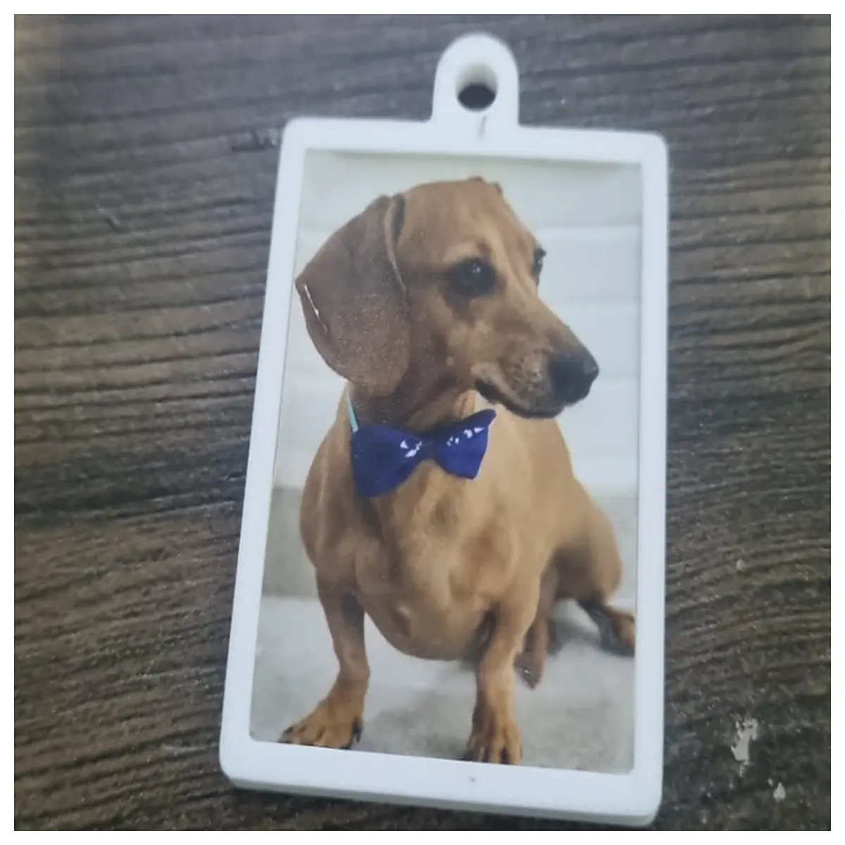 Pet Keychain Cute Pet Memorial Pet Owner Gift Pet Lover Decoration Lucky Pet Charm Accessory